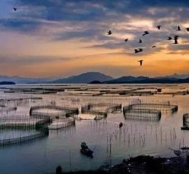 盐城伴游中国网景点丰富(旅游网介绍)