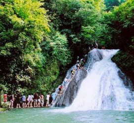 盐城旅遊(旅游攻略)