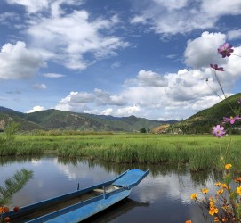 盐城旅游游记(旅游游记怎么写)