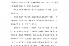 盐城旅游感想(张家界旅游感想)