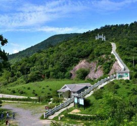 盐城休闲游(休闲旅游的含义及特点)
