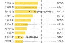 盐城关于伴游小丽中国足球的信息
