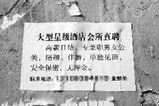 盐城珠海伴游雇用网(珠海游览社雇用信息)