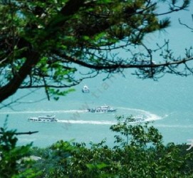 盐城中国伴游网与你分享旅游的点滴(中国伴游网与你分享旅游的点滴是什么)