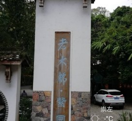 盐城关于伴游中国伴游你们伴得是什么游的信息