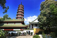 盐城广州自由行(广州 自由行)