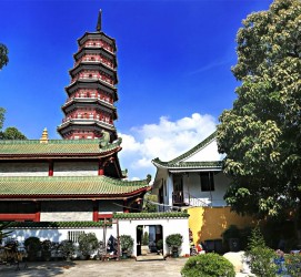盐城广州自由行(广州 自由行)