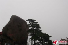 盐城上海伴游私家陪游雇用女模(上海伴游私家陪游雇用女模特)