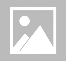 盐城长春伴游雇用信息(长春旅游公司雇用)