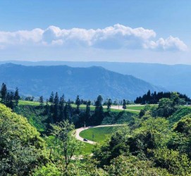 盐城跟随伴游网体验中国首个养生胜地(成都早餐培训是真的吗)