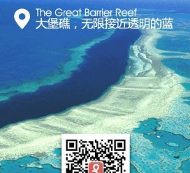 盐城中国250家旅行社结伴游新西兰(新西兰当地旅行社)