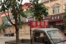 盐城上海伴游 用伴游造句大全(5