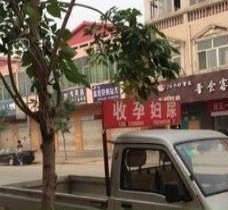 盐城上海伴游 用伴游造句大全(5
