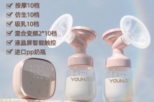 盐城奶模(奶模型)