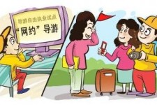 盐城伴游是什么
