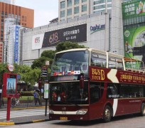 盐城上海私人伴游 上海过年怎么玩？这些“微游”线路了解下→