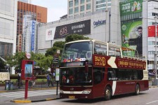 盐城上海私人伴游 上海过年怎么玩？这些“微游”线路了解下→