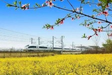 盐城高铁游(高铁游戏下载手机版)