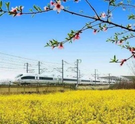 盐城高铁游(高铁游戏下载手机版)