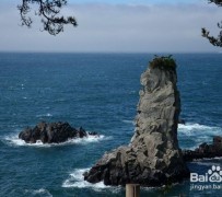 盐城旅游全攻略(上海旅游全攻略)