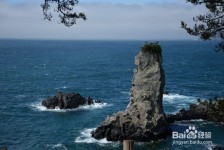 盐城旅游全攻略(上海旅游全攻略)