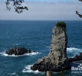 盐城旅游全攻略(上海旅游全攻略)