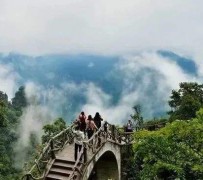 盐城二日游(二日游旅游攻略)