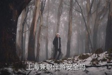 盐城上海私人伴游 上海伴游，上海兼职伴游安全吗