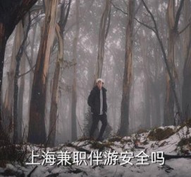 盐城上海私人伴游 上海伴游，上海兼职伴游安全吗