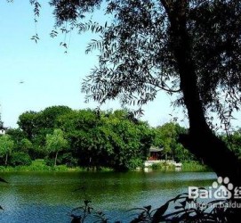 盐城西湖旅游攻略(上海到杭州西湖旅游攻略)
