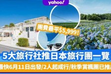 盐城旅游价格(旅游价格机制)
