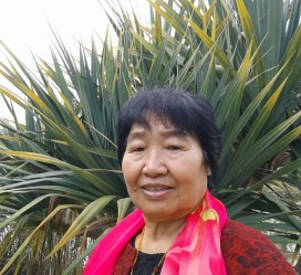 盐城白叟带老伴游半个中国(白叟外出旅游)