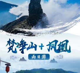 盐城两日游推荐(二日游最佳景点)