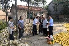 盐城关于宋叔带老伴游中国的信息
