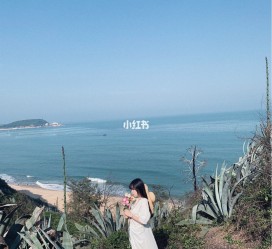 盐城厦门周边游(厦门及周边旅游攻略)