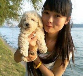 盐城中国伴游网靠谱吗(伴游是真的吗?)