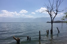 盐城洱海旅游攻略(洱海旅游攻略自由行)