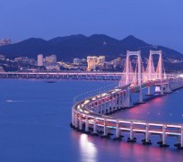 盐城景点(景点排名)