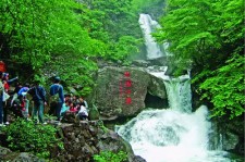 盐城安吉旅游攻略(湖州安吉旅游攻略)