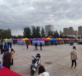 盐城通辽伴游雇用(哈尔滨伴游雇用)