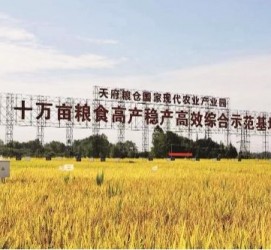 盐城关于成都商务伴游外围雇用的信息