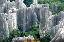 盐城贵阳市游览社英语伴游雇用(贵阳市前十名游览社是哪几家)