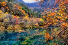 盐城四川旅游攻略(四川旅游攻略十五日游)