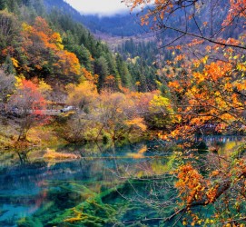 盐城四川旅游攻略(四川旅游攻略十五日游)