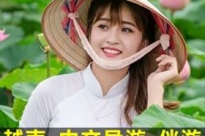 盐城日本关东伴游中国(日本关西旅行)