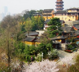 盐城南京周边游(南京周边游景点大全 自驾车旅游)