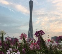 盐城广州旅游攻略(杭州到广州旅游攻略)