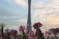 盐城广州旅游攻略(杭州到广州旅游攻略)