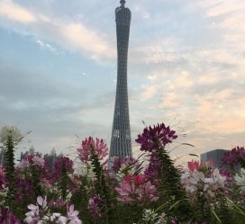 盐城广州旅游攻略(杭州到广州旅游攻略)