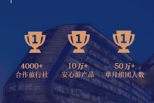 盐城上海私人伴游 ​ “小而美”的新时代：2020年国内新跟团消费报告